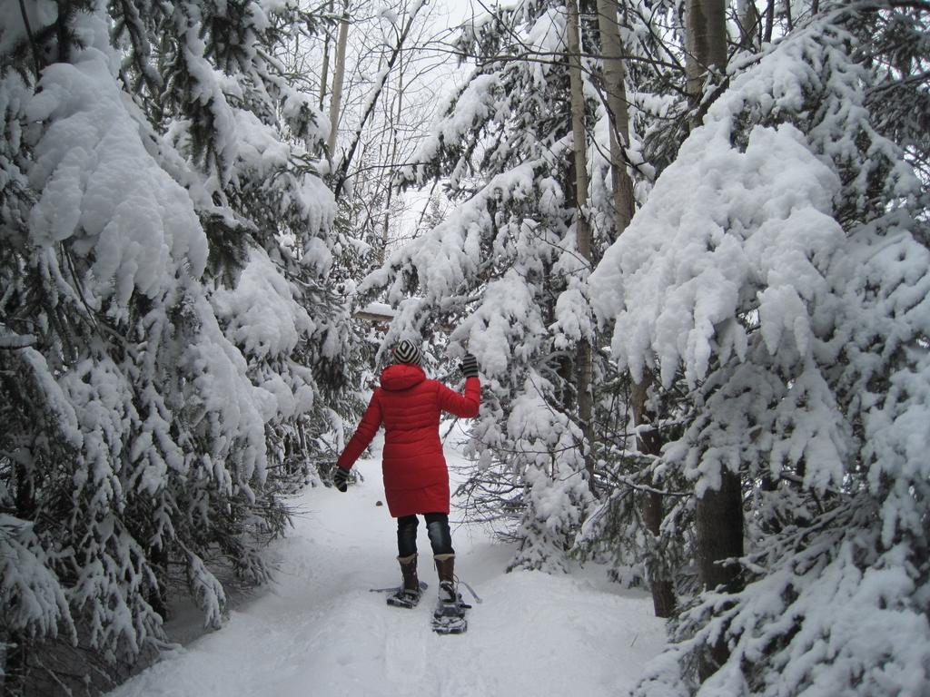 Domaine De La Baie, Les Suites Shawinigan Buitenkant foto